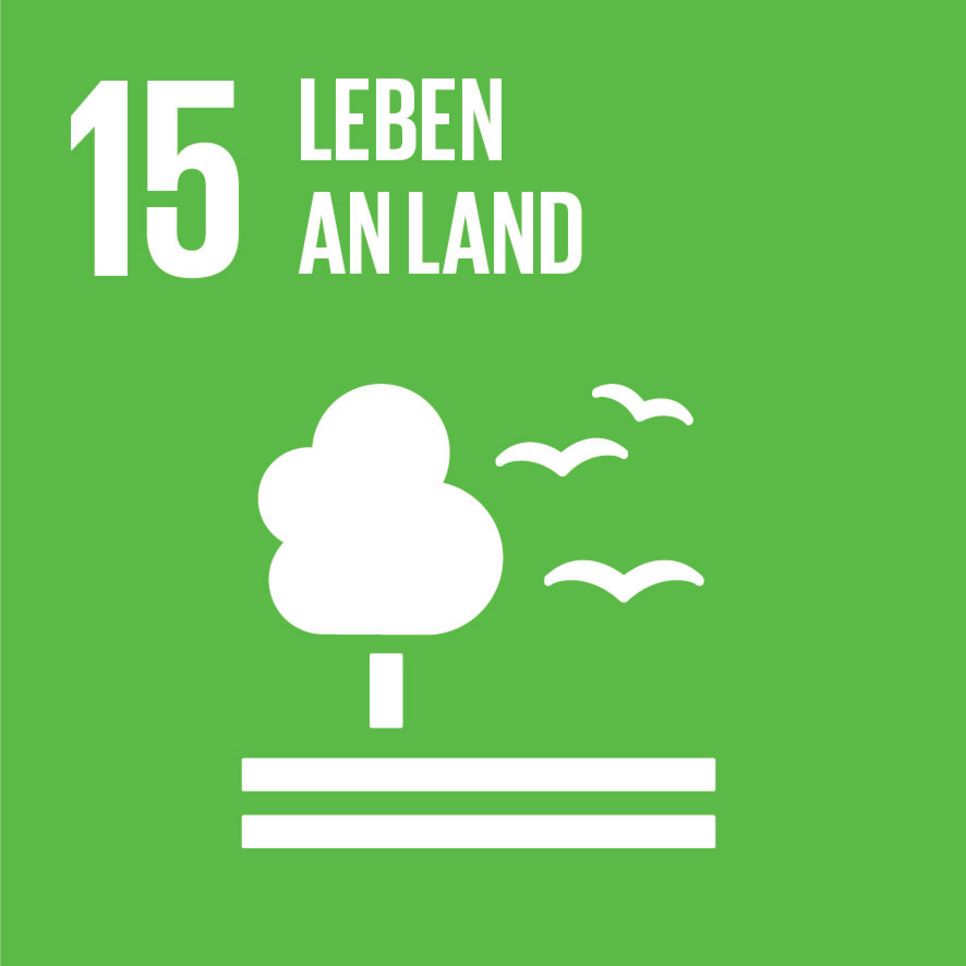 SDG 15 Logo "Leben an Land". Auf einem quadratischen hellgrünen Hintergrund steht in weiß 15, Leben an Land und eine Zeichnung eines Baume auf einer Erde mit Vögeln.