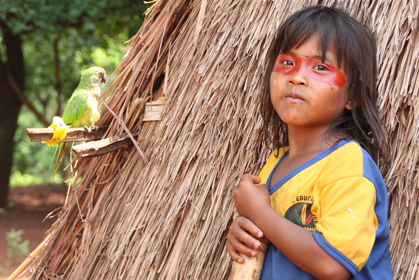 Brasilien: Landrecht für Indios/Bild: Herret Ein Kind steht vor einer Art Schilfzelt. Darauf sitzt ein grüner Papagei.