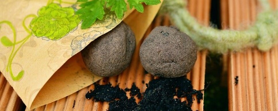 In einer gelben Tüte liegen zwei Seedballs. 